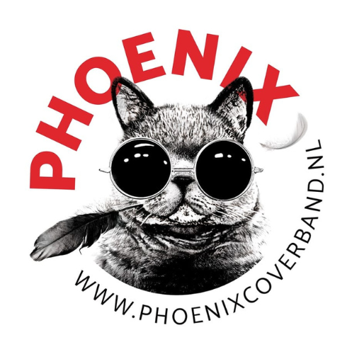 logo website phoenix coverband